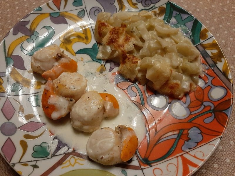 Cliquez pour zoomer ! Gratin de fenouil Thermomix par CAMIRINA