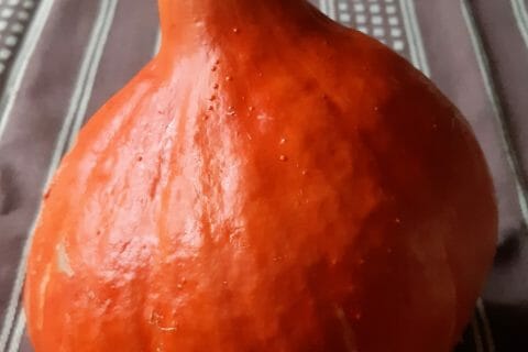 Cliquez pour zoomer ! Resized_20191106_082830