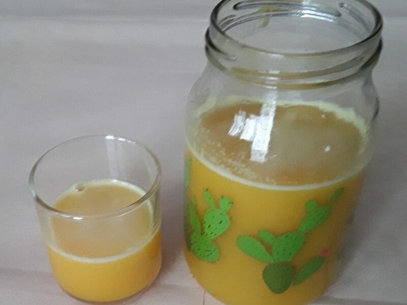 Cliquez pour zoomer ! Shot gingembre orange Thermomix par Erghy