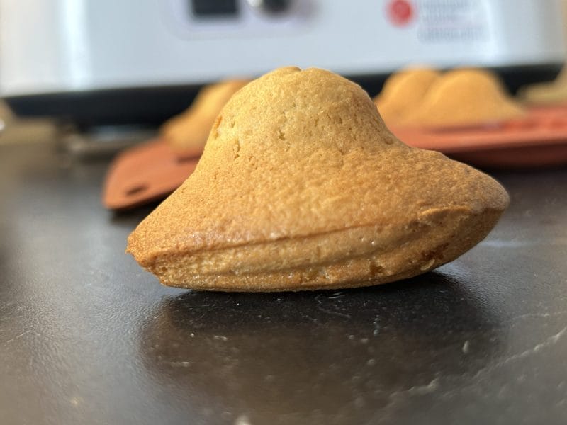Cliquez pour zoomer ! Madeleines Thermomix par nassoufa