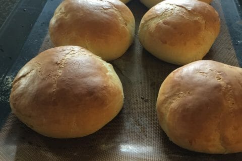 Cliquez pour zoomer ! Pains hamburger Thermomix par michlyd