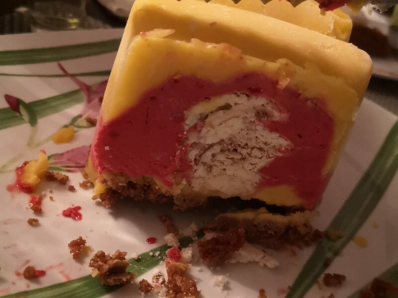 Cliquez pour zoomer ! Bûche glacée mangue et framboise Thermomix par Fanny.mc
