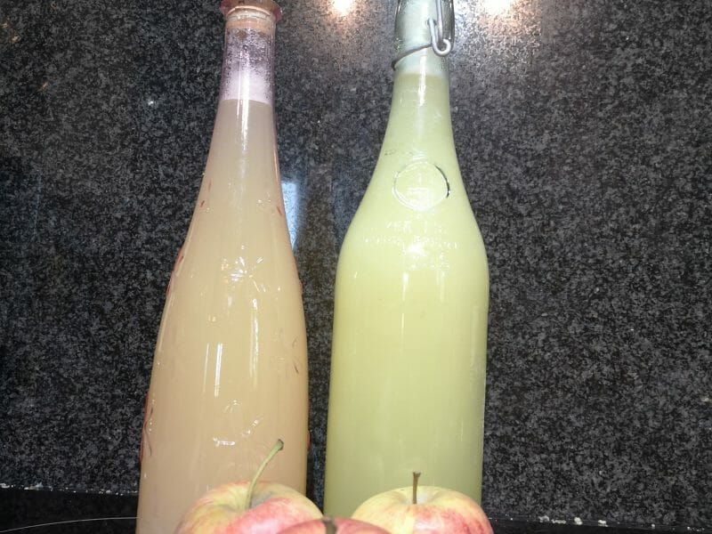 Cliquez pour zoomer ! Jus de pommes Thermomix par Alex_95