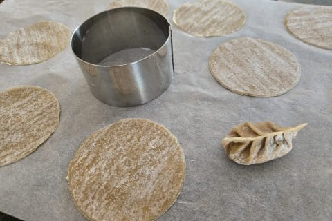 Cliquez pour zoomer ! Gyoza au porc Thermomix par cerbere