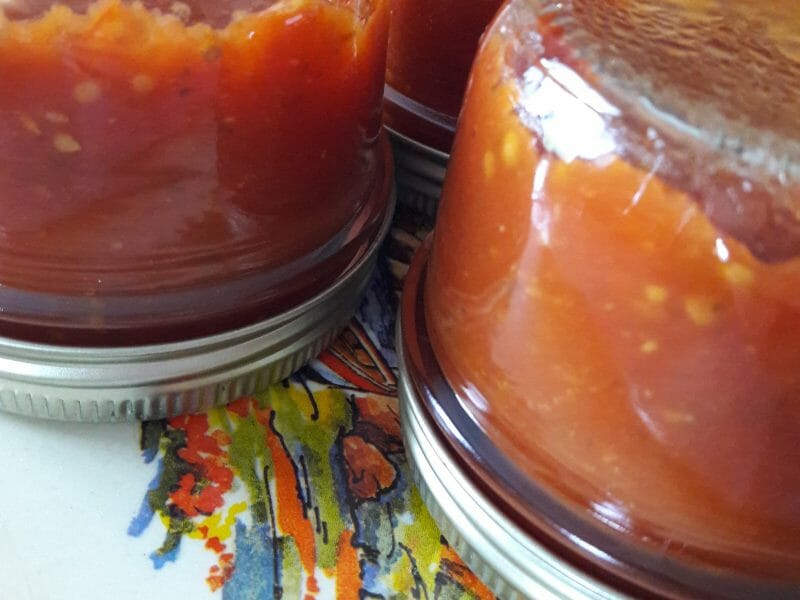 Cliquez pour zoomer ! Coulis de tomates Thermomix par Tomtitiamatth
