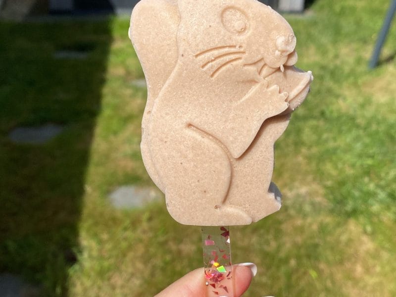 Cliquez pour zoomer ! Crème glacée à la crème de marrons Thermomix par melodiiie44