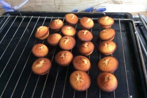 Photos des recettes