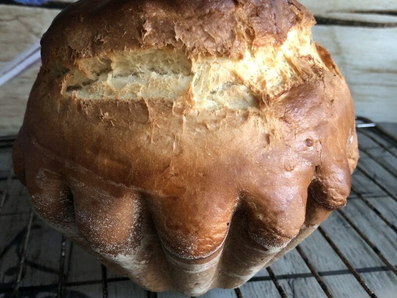 Cliquez pour zoomer ! Brioche Buchty Thermomix par Mamie fanfan