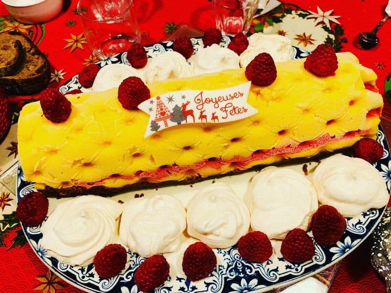 Cliquez pour zoomer ! Bûche glacée mangue et framboise Thermomix par Sabrina_b