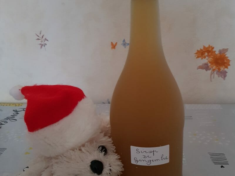 Cliquez pour zoomer ! Sirop de gingembre Thermomix par Patlb