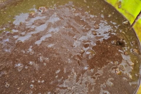 Cliquez pour zoomer ! Cake au chocolat et à la banane Thermomix par Muryel13