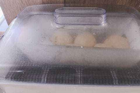 Cliquez pour zoomer ! Brioche du boulanger Thermomix par cnedra