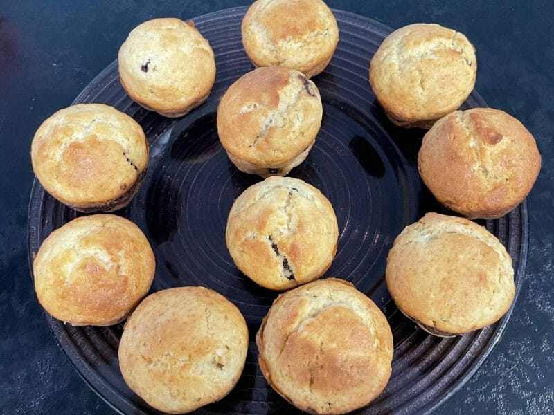 Cliquez pour zoomer ! Doffins Thermomix par Sylloo