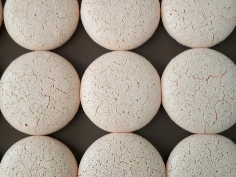 Cliquez pour zoomer ! Macarons Thermomix par S71260