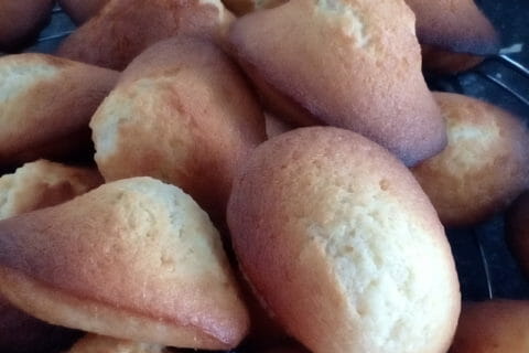 Photos des recettes
