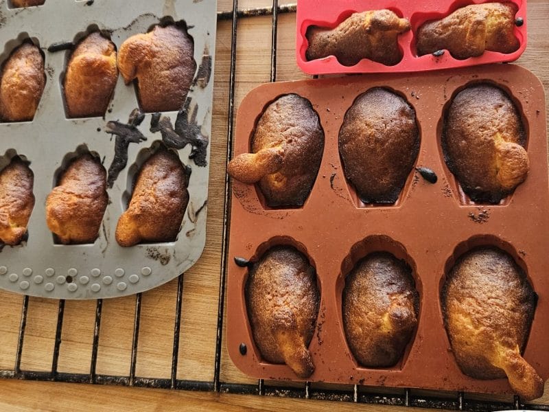 Cliquez pour zoomer ! Madeleines Thermomix par keziah78125