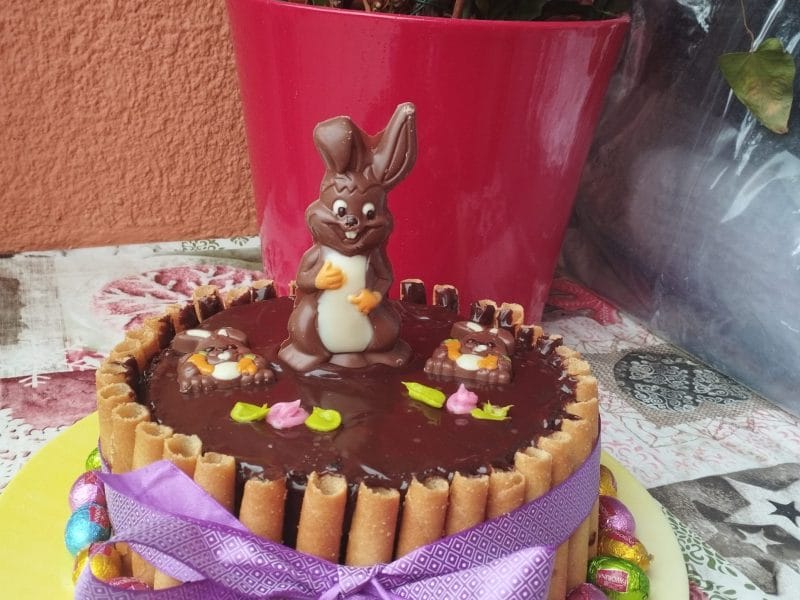 Cliquez pour zoomer ! Gâteau lapin de Pâques Thermomix par didine2001