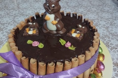 Cliquez pour zoomer ! Gâteau lapin de Pâques Thermomix par didine2001