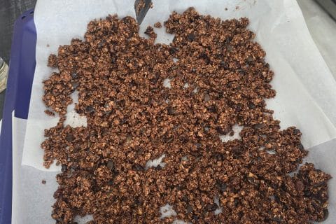 Cliquez pour zoomer ! Granola au chocolat Thermomix par awandine