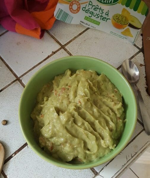 Cliquez pour zoomer ! Guacamole Thermomix par Anthony_1