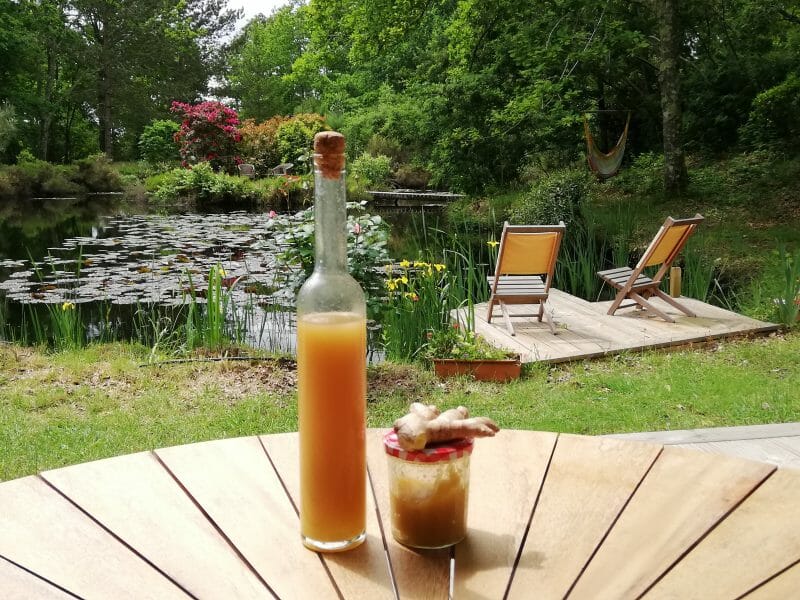 Cliquez pour zoomer ! Sirop de gingembre Thermomix par Danino33