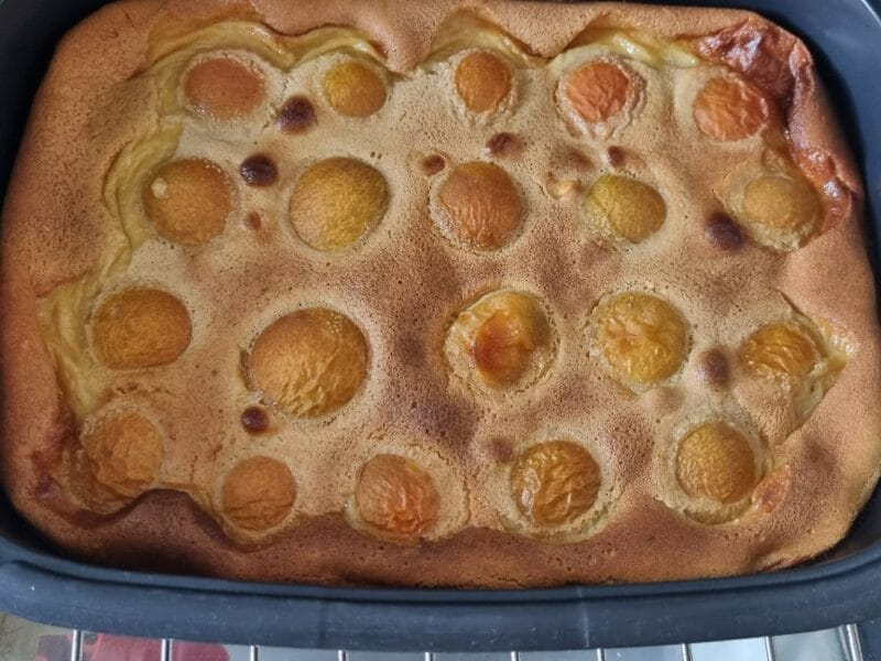Cliquez pour zoomer ! Clafoutis aux abricots Thermomix par Christelle1108
