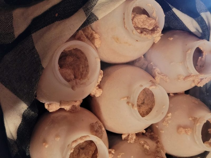 Cliquez pour zoomer ! Yaourt à boire – Yop Thermomix par badiaakarim