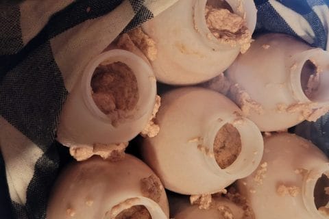 Cliquez pour zoomer ! Photo de badiaakarim