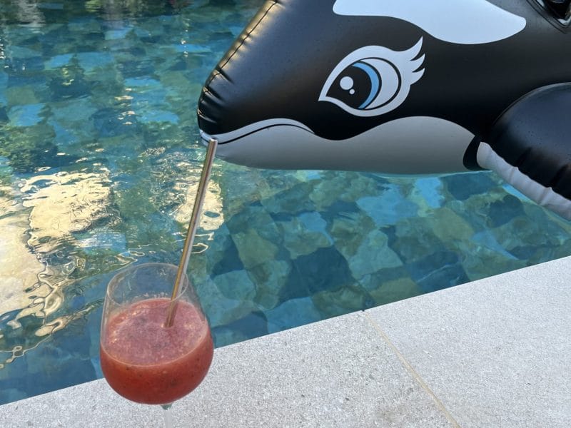 Cliquez pour zoomer ! Granité de pastèque Thermomix par socuisinette