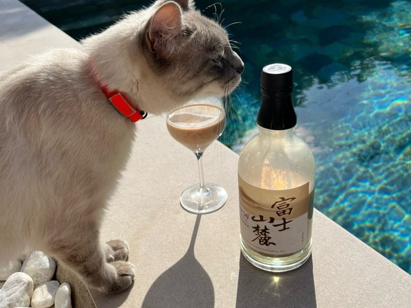 Cliquez pour zoomer ! Baileys Thermomix par socuisinette