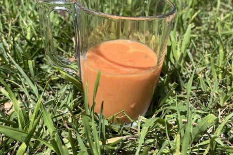 Cliquez pour zoomer ! Gaspacho pomme, tomate et concombre Thermomix par socuisinette