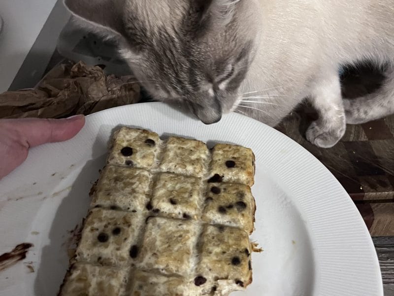 Cliquez pour zoomer ! Gâteau de flocons d’avoine à la banane Thermomix par socuisinette