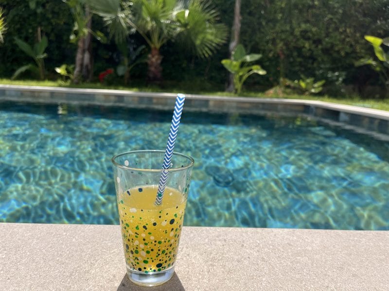 Cliquez pour zoomer ! Orangina maison Thermomix par socuisinette