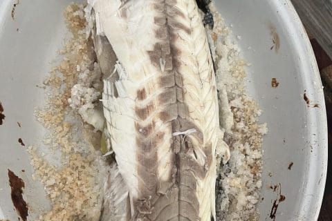 Cliquez pour zoomer ! Dorade en croûte de sel Thermomix par socuisinette