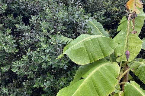 Cliquez pour zoomer ! Photo de socuisinette