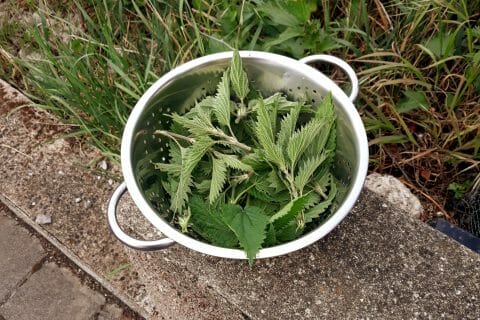 Cliquez pour zoomer ! Soupe d’orties Thermomix par anodine