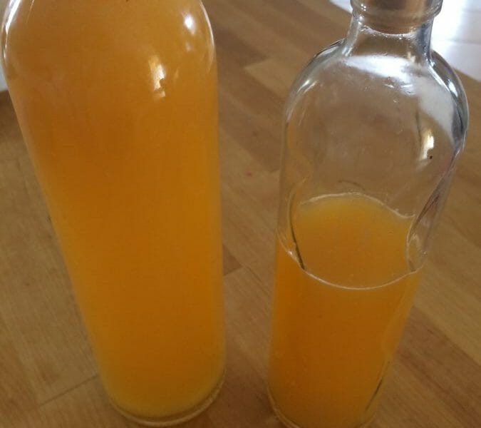 Cliquez pour zoomer ! Jus de fruits ACE Thermomix par audrey34k