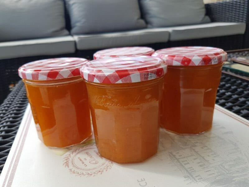 Confiture d'abricots Cookomix