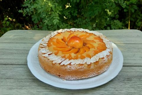 Cliquez pour zoomer ! Gâteau moelleux aux abricots au Thermomix