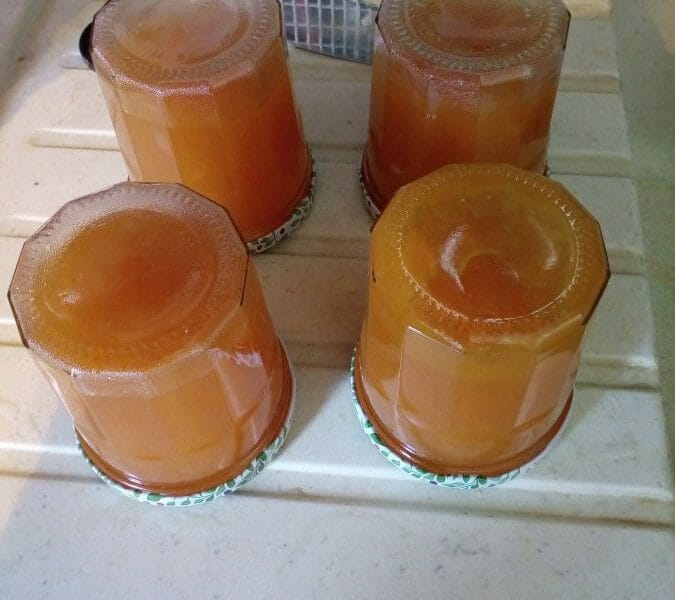 Confiture de melon au Thermomix - Cookomix