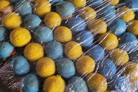 Cliquez pour zoomer ! Mini burgers Thermomix par salimae