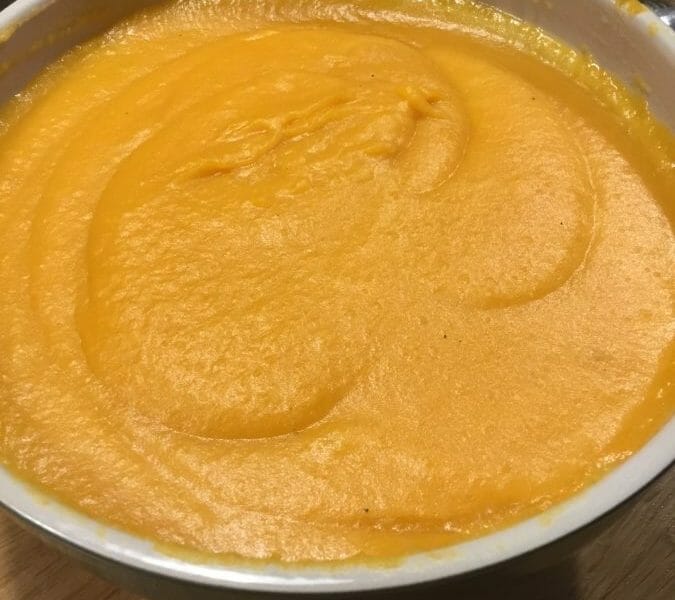 Cliquez pour zoomer ! Purée de butternut Thermomix par AudreyC