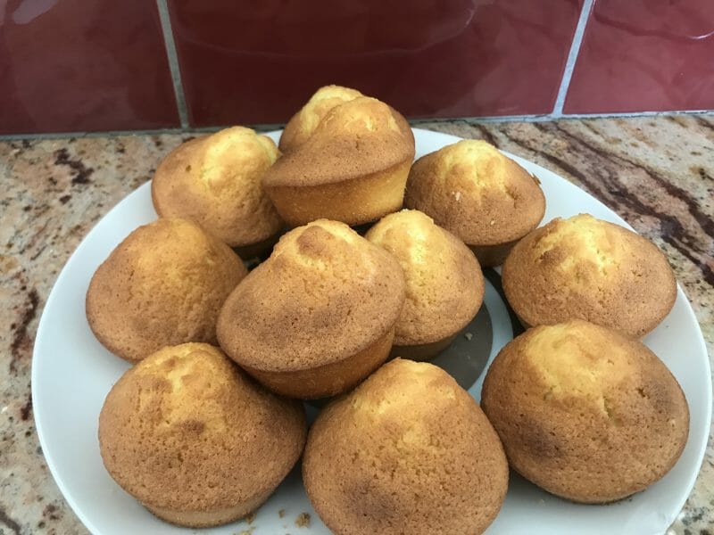 Cliquez pour zoomer ! Cake à la noix de coco Thermomix par Stef