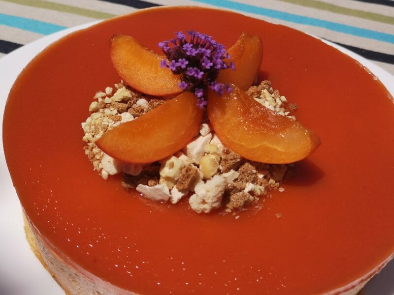 Cliquez pour zoomer ! Bavarois à l’abricot Thermomix par Laulu