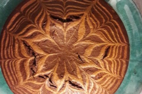 Cliquez pour zoomer ! Gâteau zébré Thermomix par Celyn-24