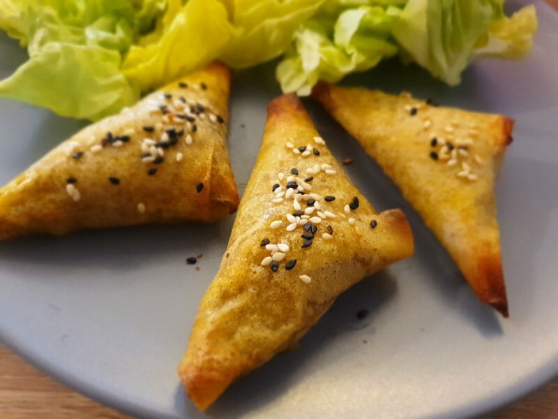 Cliquez pour zoomer ! Samoussa Thermomix par Marion.lab