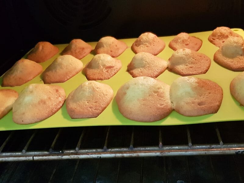 Cliquez pour zoomer ! Madeleines Thermomix par Aurelili30