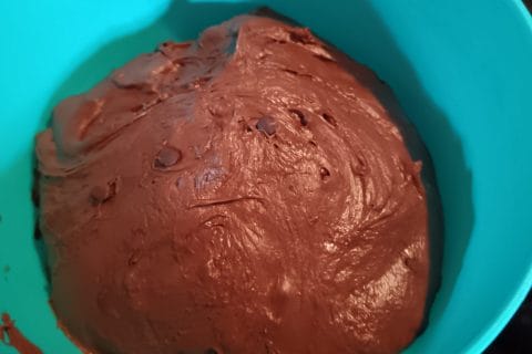 Cliquez pour zoomer ! Pain au cacao et pépites de chocolat Thermomix par popo4621