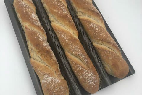 Cliquez pour zoomer ! 1CBF0224-DD79-4774-B550-1E70387349A0