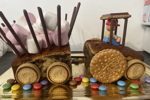 Cliquez pour zoomer ! Marbré au chocolat Thermomix par ninaddr